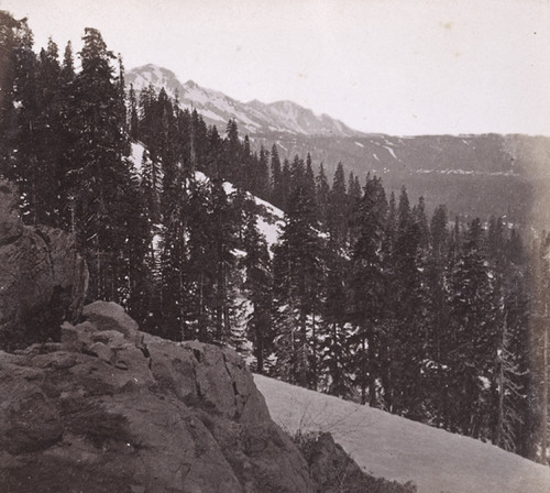 638. On the Summit of Sierra Nevada Mountains