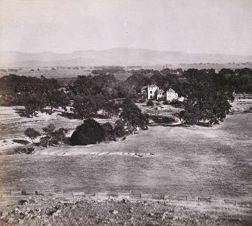 763. Napa Valley. View from the Oak Knoll Farm