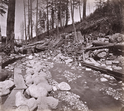 828. Scene in the Ravine below Dutch Flat, Placer Co