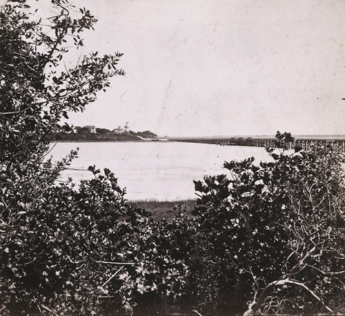 1468. View on San Antonio Creek, showing the Trestle of the Western Pacific Railroad