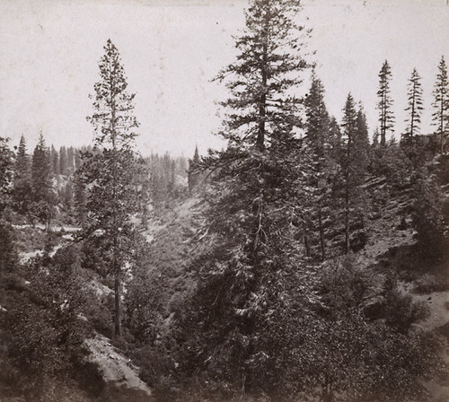 1232. Long Ravine, from the Trestle Bridge, looking North, Central Pacific Railroad