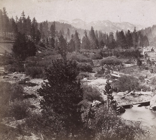 1279. Coldstream Valley. Western Summit of the Sierras. Central Pacific Railroad