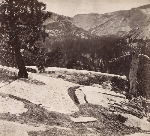 1664. General View of Little Yo-Semite Valley from the Cap of Liberty