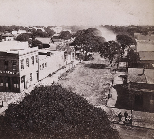 1420. General View of Oakland, from Wilcox Block, looking East, Alameda County