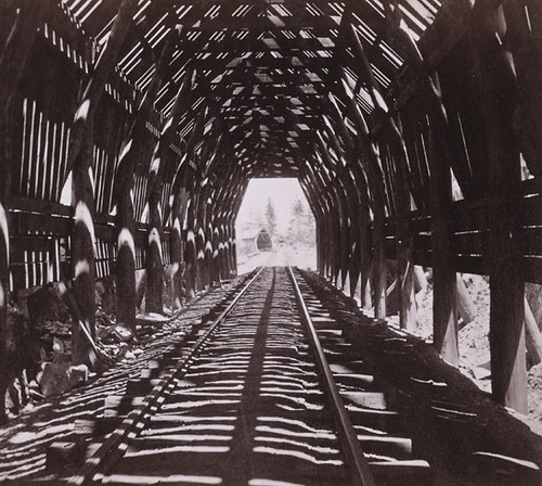 1302. Interior View of Snow Shed--C. P. R. R