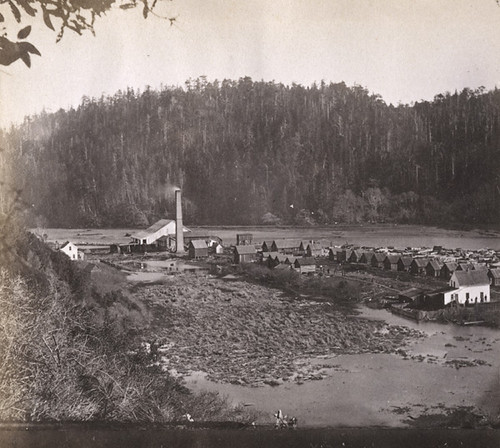 1189. Big River Lumber Mills, looking East, Mendocino County