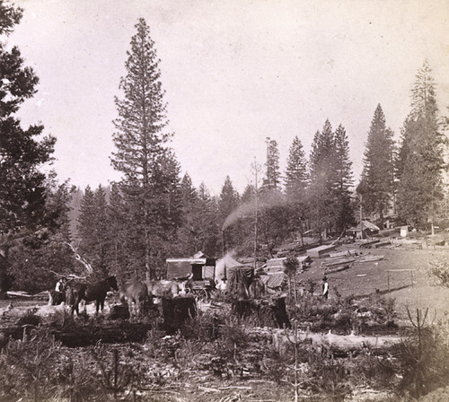 612. Cutting Lumber in the foot-hills, El Dorado County