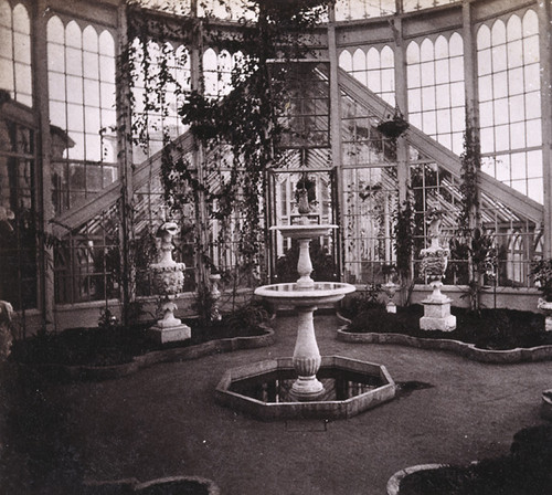 421. Residence of R. B. Woodward, San Francisco--Under the Dome of the Conservatory