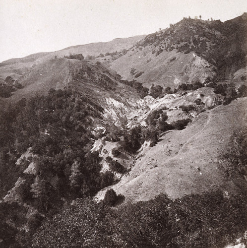 1150. Geysers. General View, Devil's Canon, Sonoma County