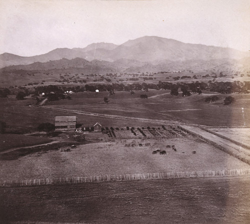 566. Mount Diablo, from San Ramon Valley, Contra Costa County