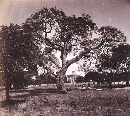 23. Residence of Major R. W. Kirkham, Oakland, Alameda County