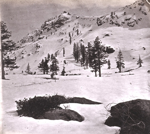 845. Donner Peak, from the Road