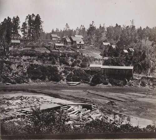 1176. Road leading to the shipping point from Casper Lumber Mills, Mendocino County