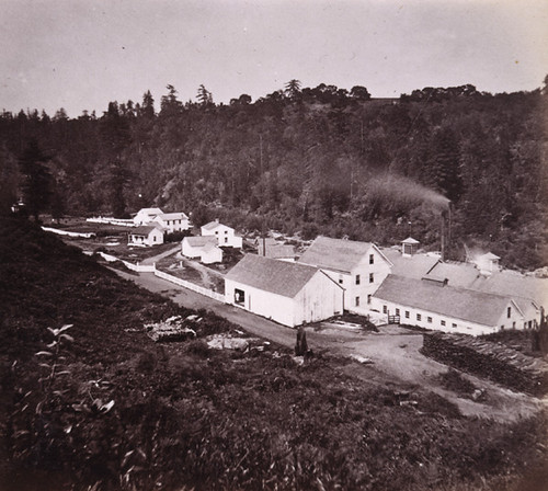 52. The San Lorenzo Paper Mill, Santa Cruz