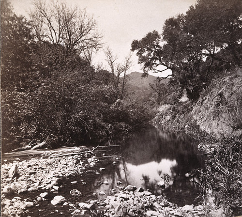 1. Scene on San Mateo Creek, San Mateo Co