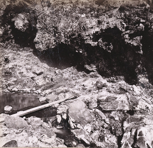 1157. A Geyser in the Devil's Canon, Sonoma Co