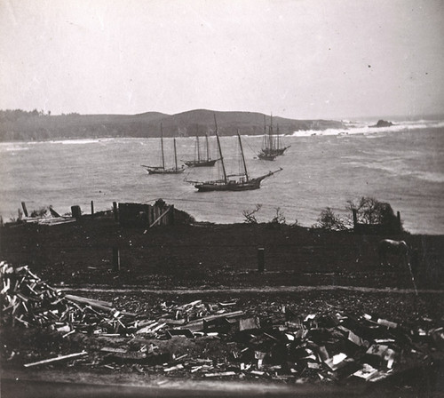 1187. Lumber Vessels at Mendocino