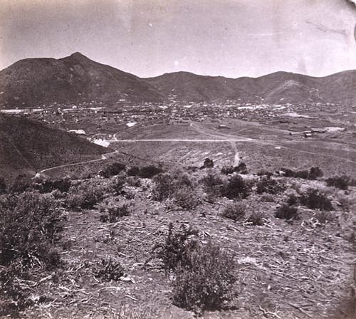 703. Virginia City. General view from the East