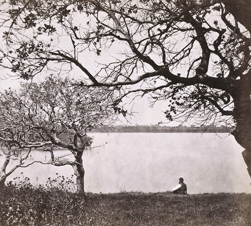 1456. Lake Merritt, from Eastern side, looking West, Oakland, Alameda County