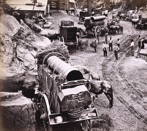 621. Feeding the Teams. Scene on the Placerville Route