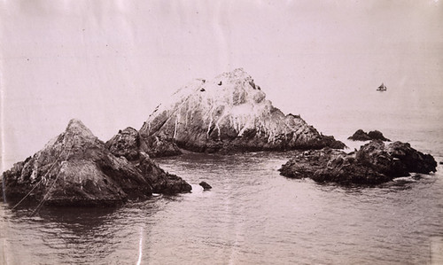 Seal Rocks from the Cliff House