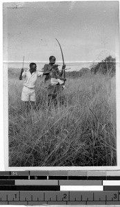 Two men shooting a bow and arrow, Africa, October 1947