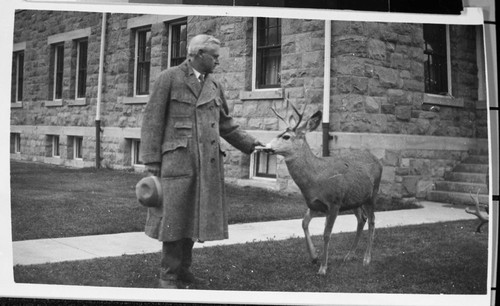 outside park, NPS Individuals, Stephen Mather and deer