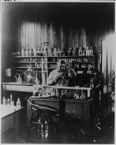 Thomas Edison in his chemical laboratory at Menlo Park, New Jersey, about 1879