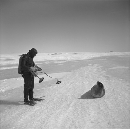 Mikhail V. Propp with Weddell seal, holding underwater camera