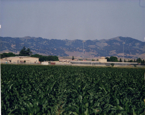 Looking north view of back of school 1980's