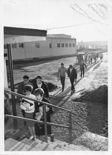 Circa 1964/5, students follow gravel path from bus to lockers