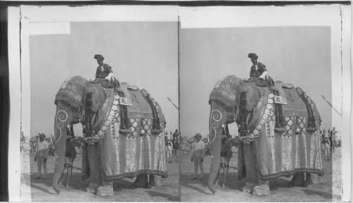 Maharaja of Gwalior’s elephant, dressed in Gold, Silver and Gems, India