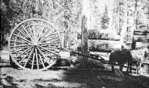 Logging with Big Wheels