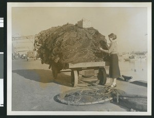 Woman inspecting fishing nets, ca.1920
