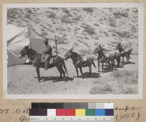 Water pack train to Saddle Camp on Gray Ridge