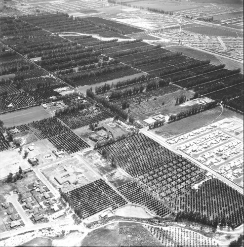 Simi Valley aerial, 1966