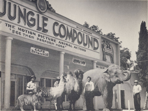 World Jungle Compound Entrance