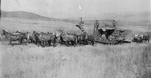 Grain Harvesting At Crowley Ranch