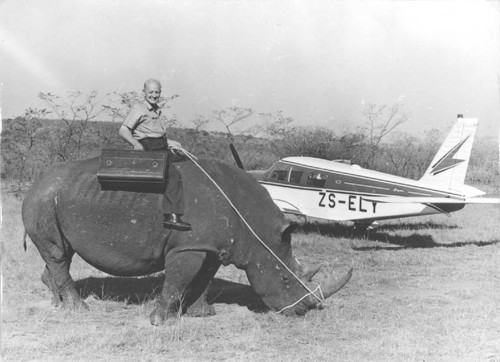 Louis Goebel on rhino