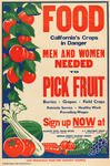 Food, California's crops in danger, men and women needed to pick fruit