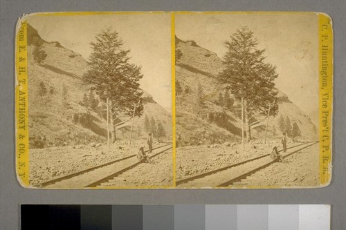 Rare authoring view of new Central Pacific Railroad [California]. Note surveyor's implement