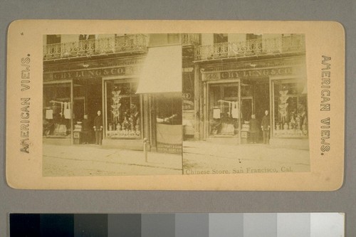 Chinese Store, San Francisco, Cal [California]. American Views