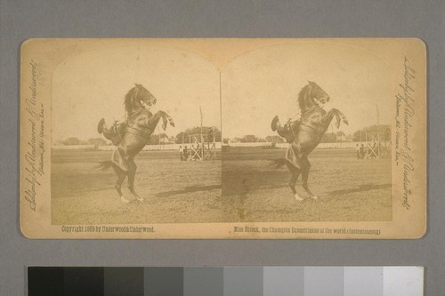 Miss Hicock [Emma Lake], the Champion Equestrienne of the World. (Instantaneous) 1889