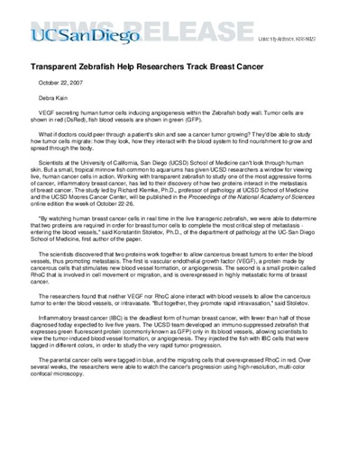 Transparent Zebrafish Help Researchers Track Breast Cancer