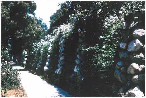 1975 Slide Show: Cultural Landmarks of South Pasadena: Cobblestones (Fence Piers on Fremont)
