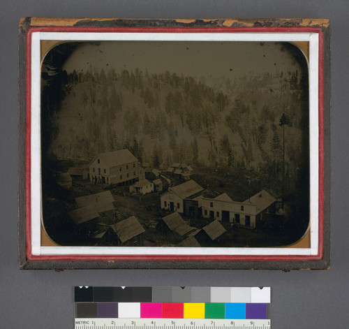 [View of main street of Forest (Forest City, Calif.), with inhabitants and a daguerreian room visible.]