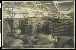 A view of sacks of wheat in a warehouse, Oregon, 1907