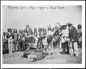 Sioux Indians "skinning out" a steer after a beef issue