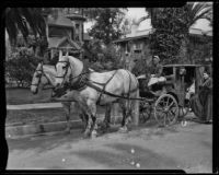 Horse-drawn carriage, Old Timers Parade, Riverside, [1933?]
