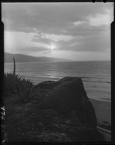 Agaves, cliffs, and ocean from Palisades Park, Santa Monica, 1928